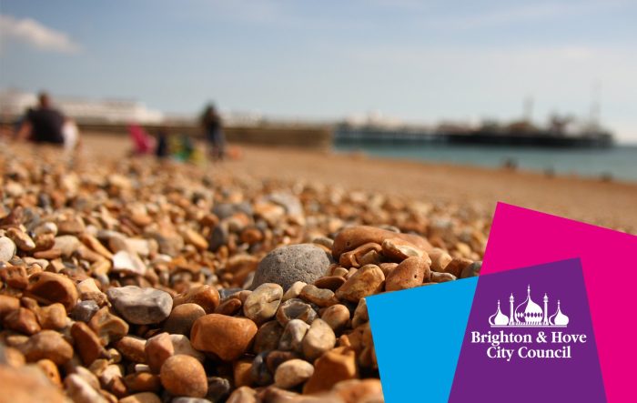 Brighton and Hove City council